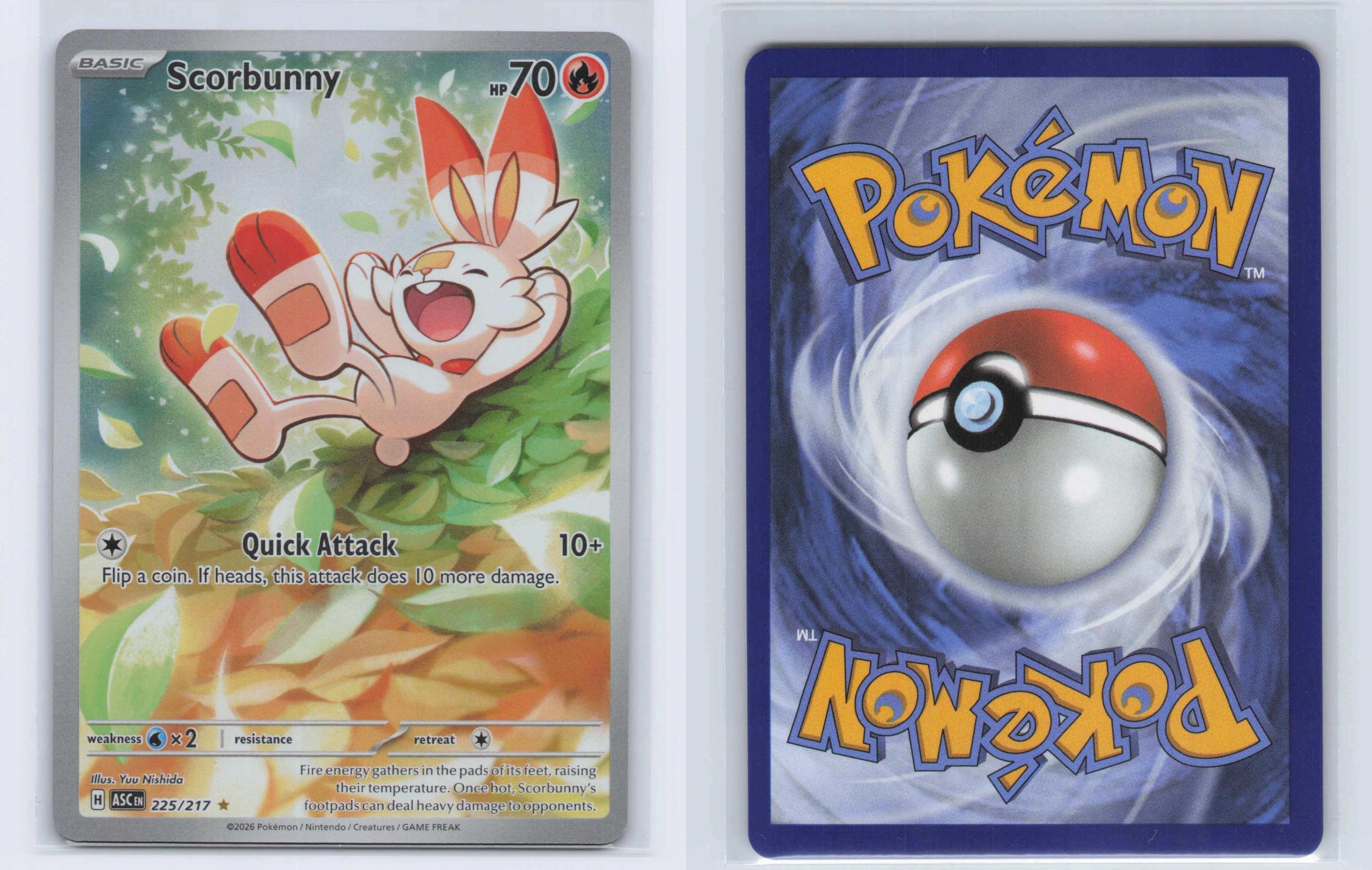 (#225/217) Scorbunny - Holo [Ascended Heroes]