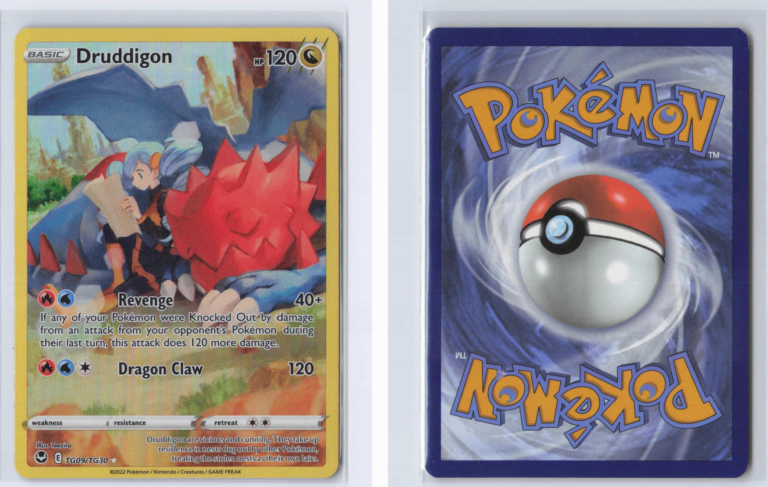 (#TG09/TG30) Druddigon - Holo [Silver Tempest Trainer Gallery]