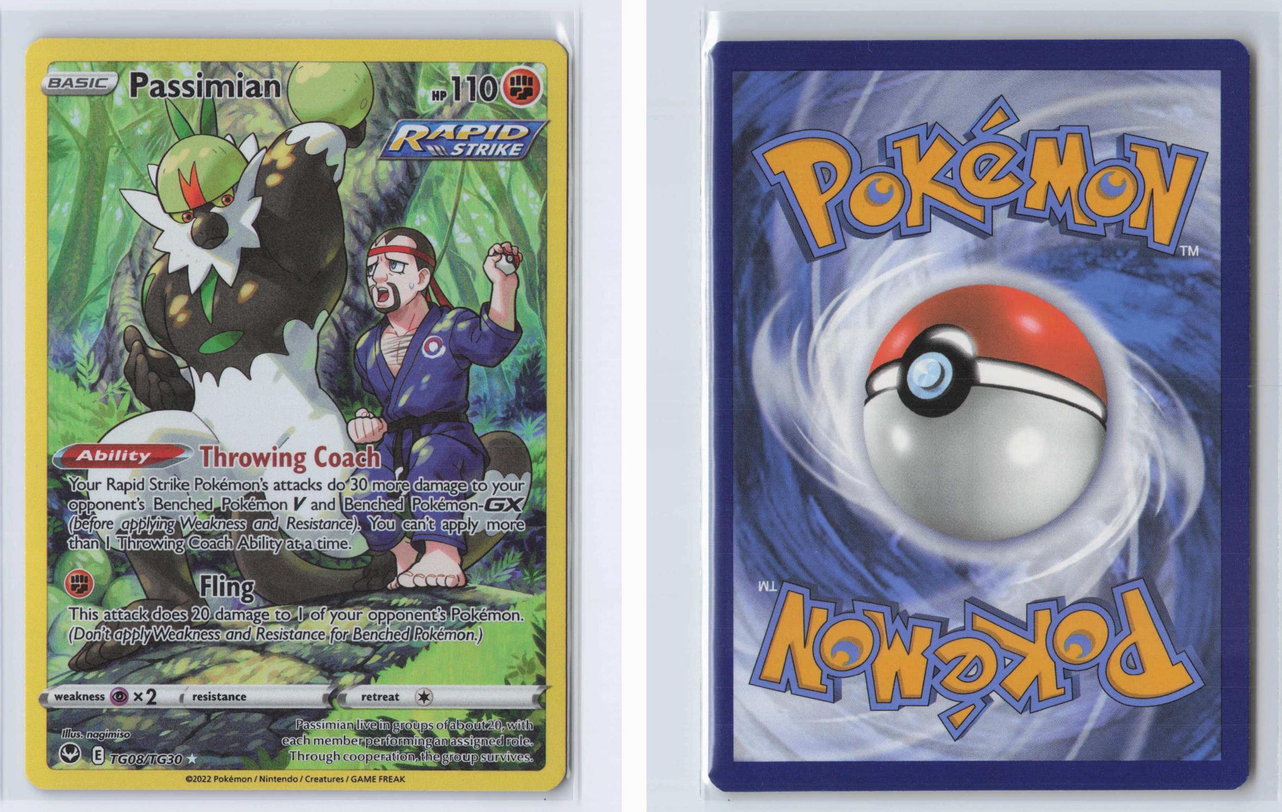 (#TG08/TG30) Passimian - Holo [Silver Tempest Trainer Gallery]