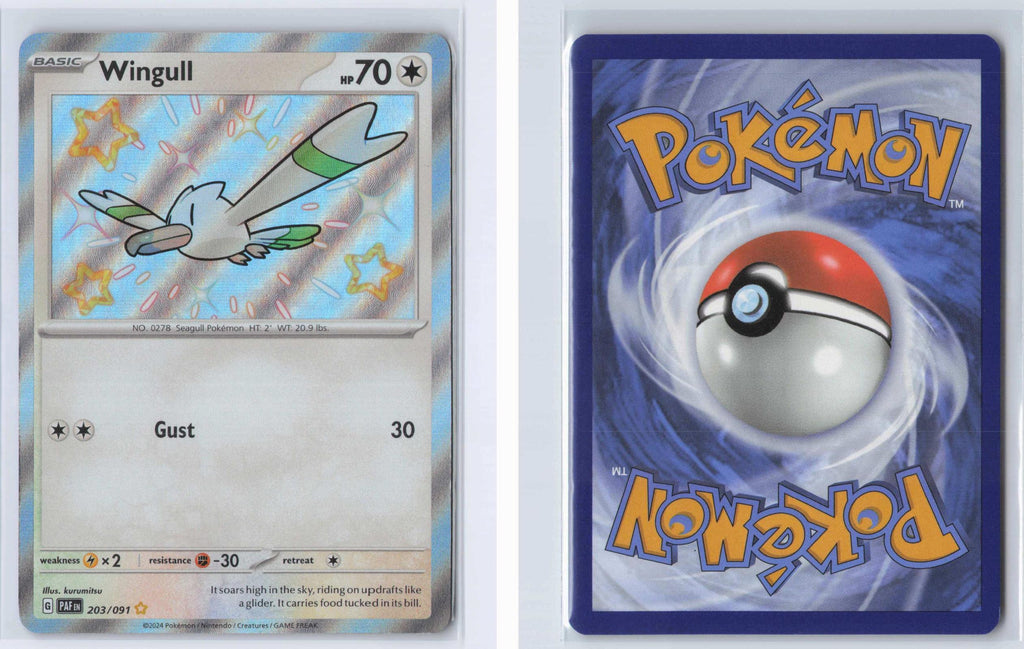 (#203/091) Wingull - Holo [Paldean Fates]