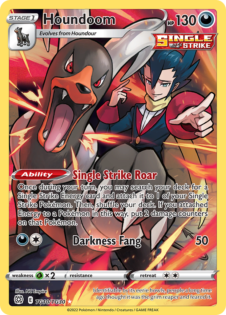 (#TG10/TG30) Houndoom - Holo [Brilliant Stars Trainer Gallery]