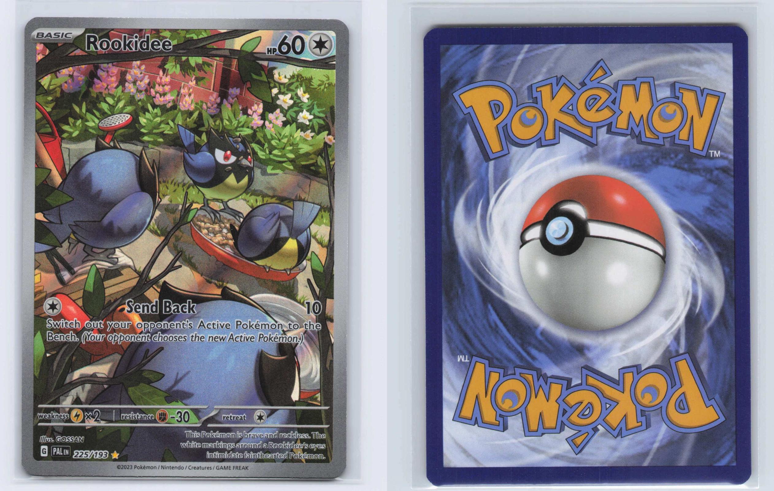 (#225/193) Rookidee - Holo [Paldea Evolved]