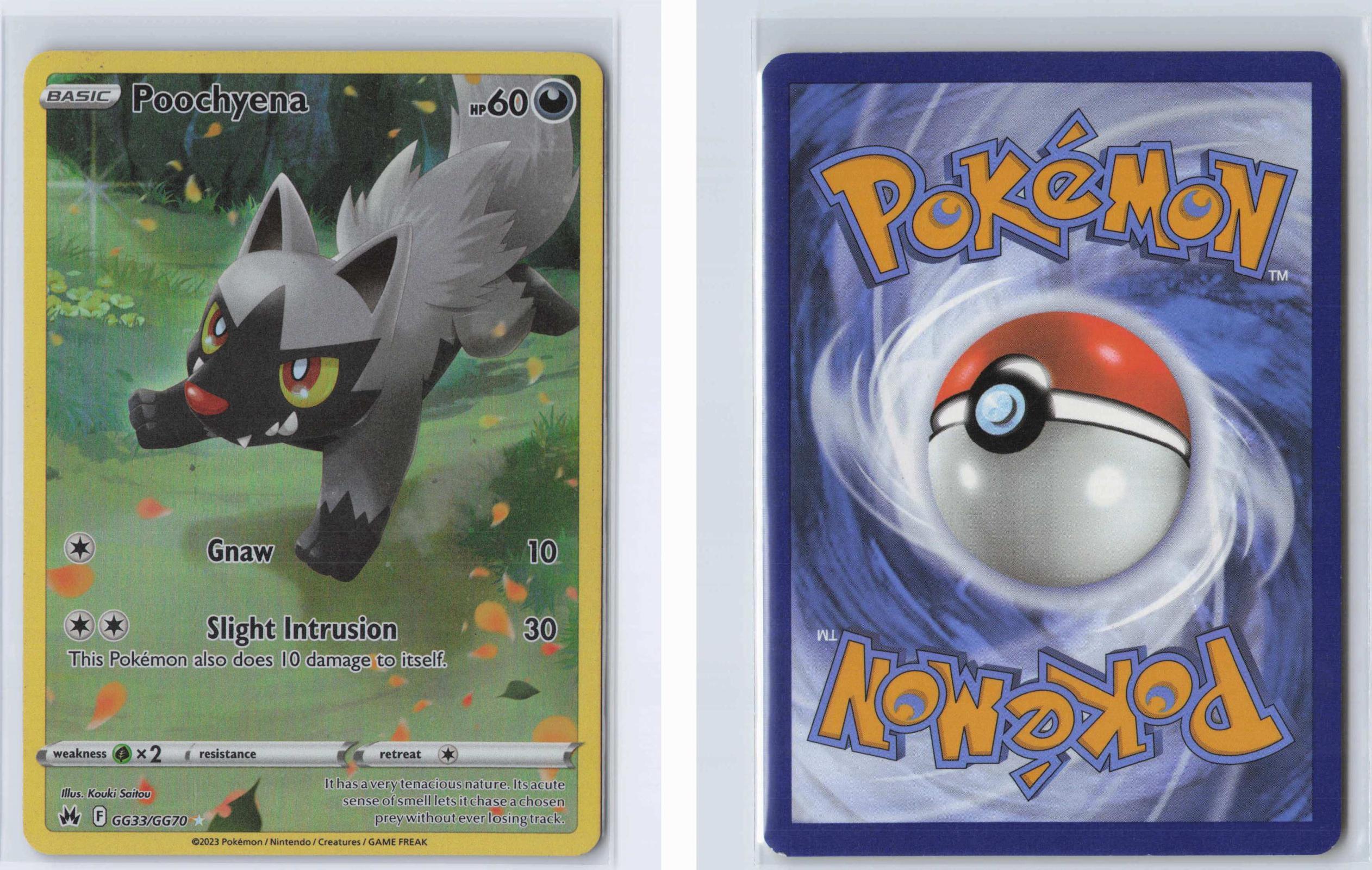 (#GG33/GG70) Poochyena - Holo [Crown Zenith Galarian Gallery]
