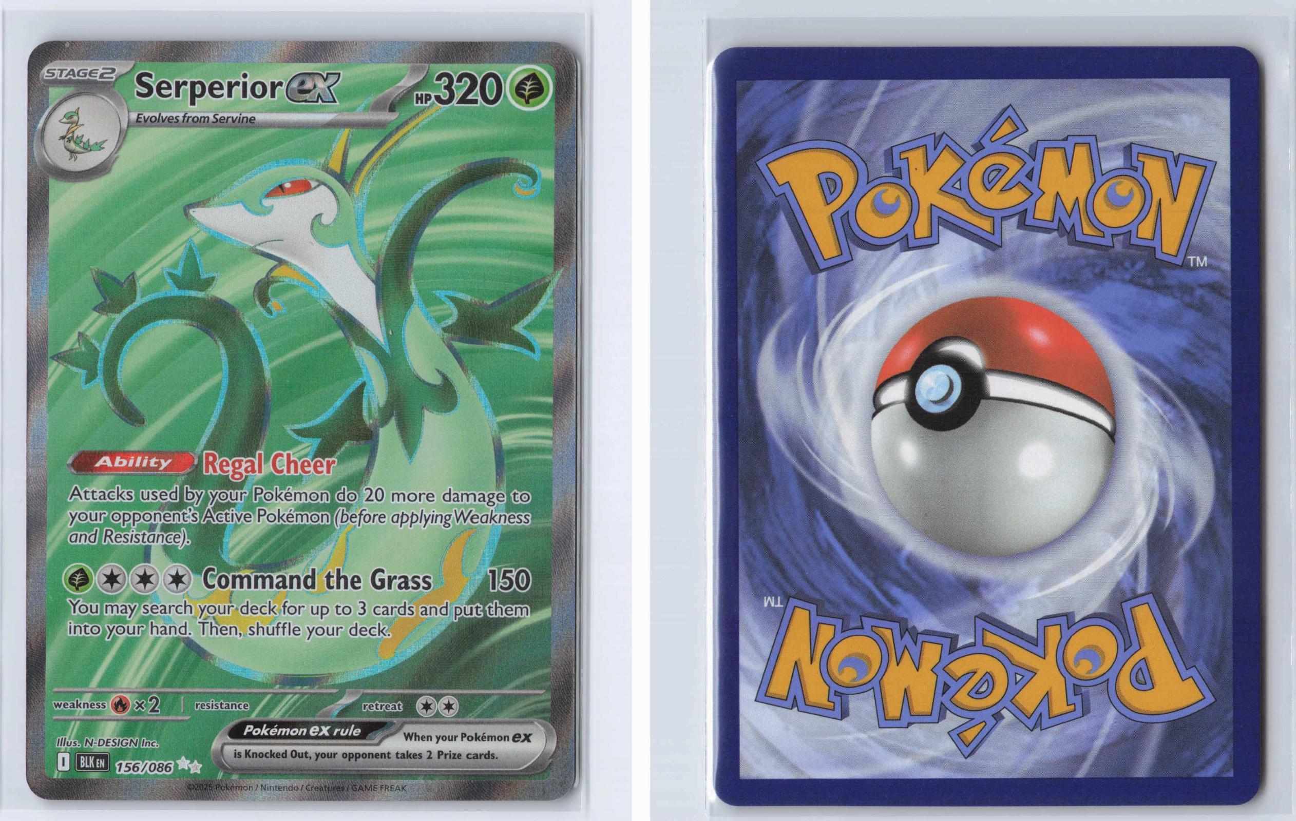 (#156/086) Serperior ex - Holo [Black Bolt]