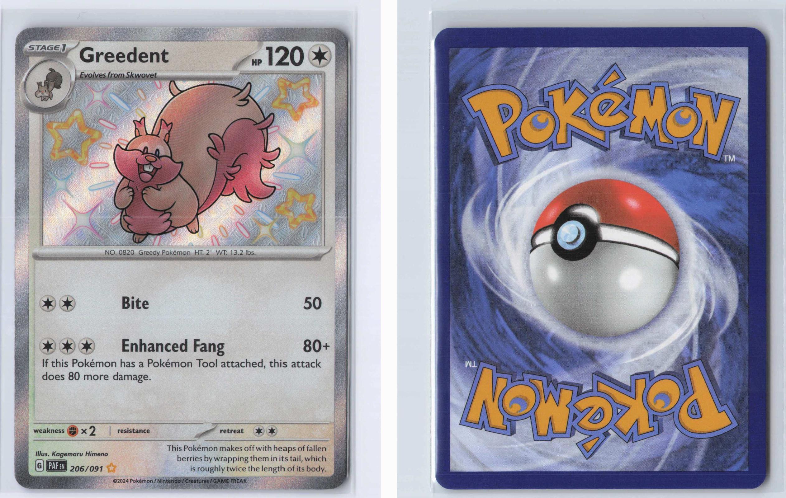 (#206/091) Greedent - Holo [Paldean Fates]