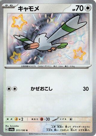 (#311/190) Wingull - Holo [Shiny Treasure ex (JPN)]
