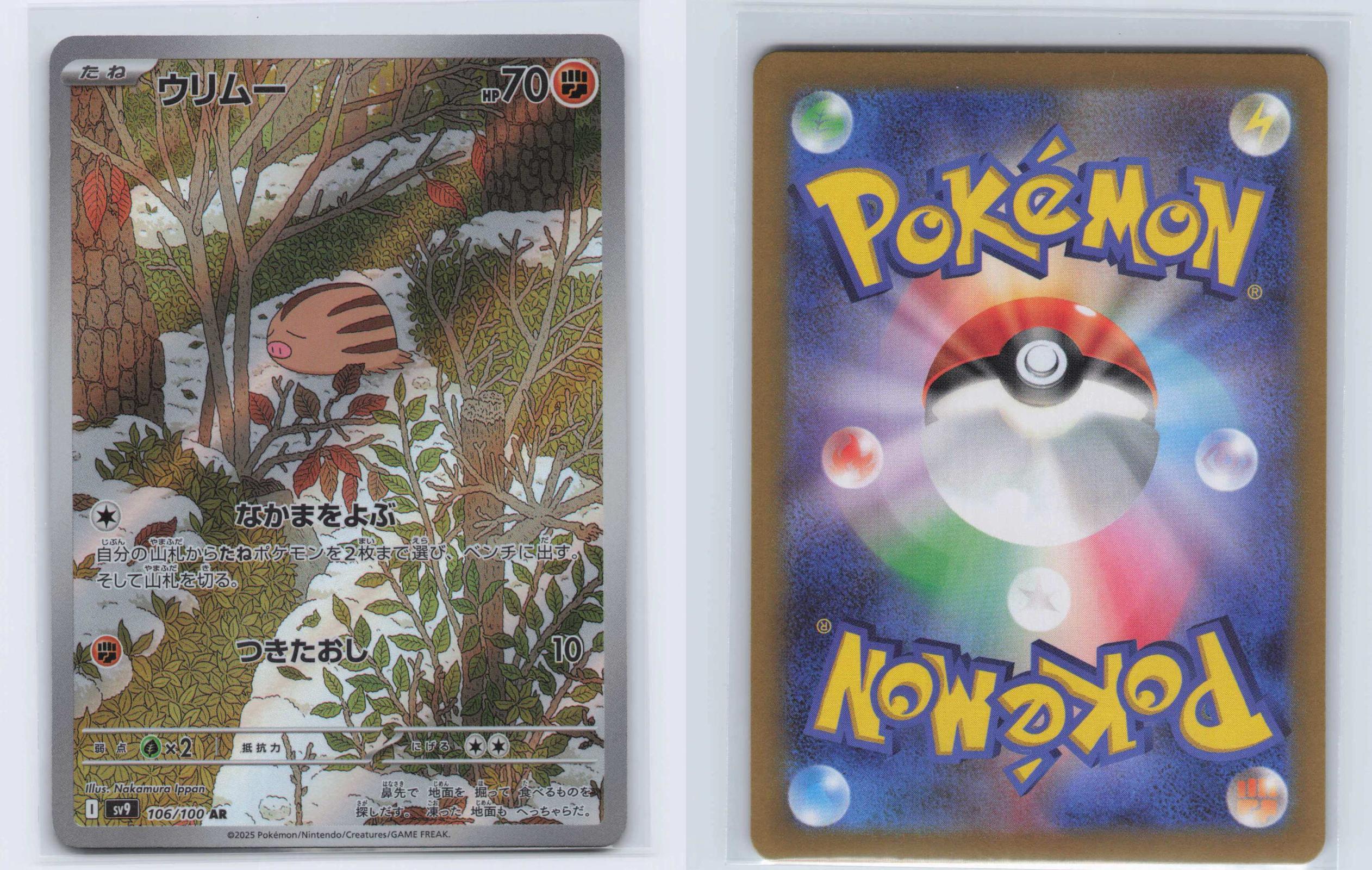 (#106/100) Swinub - Holo [Battle Partners (JPN)]