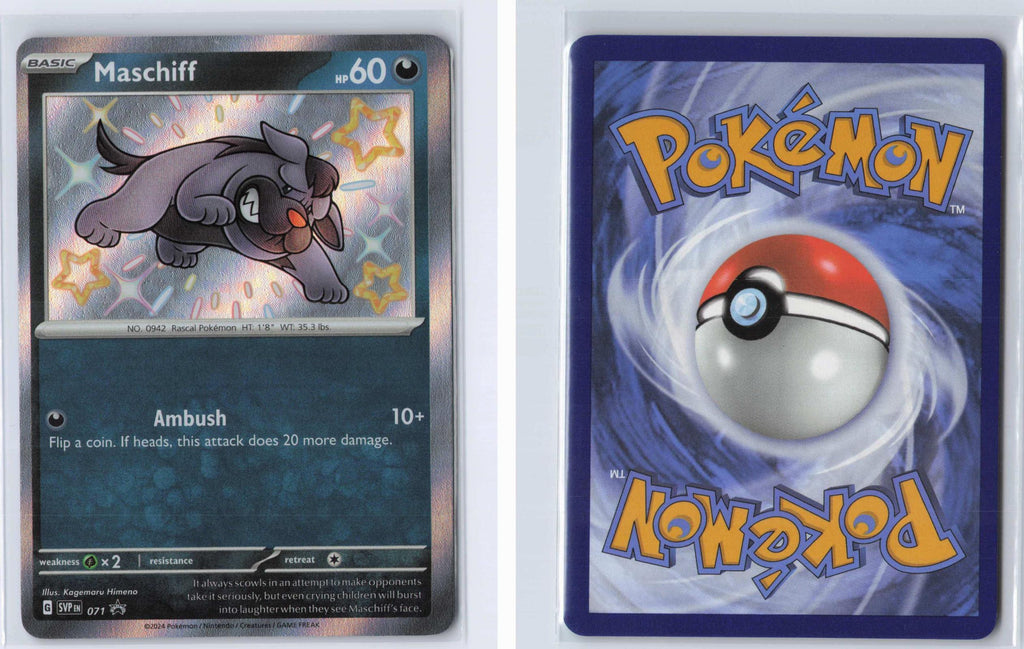 (#071) Maschiff - Holo [Scarlet & Violet Promo]