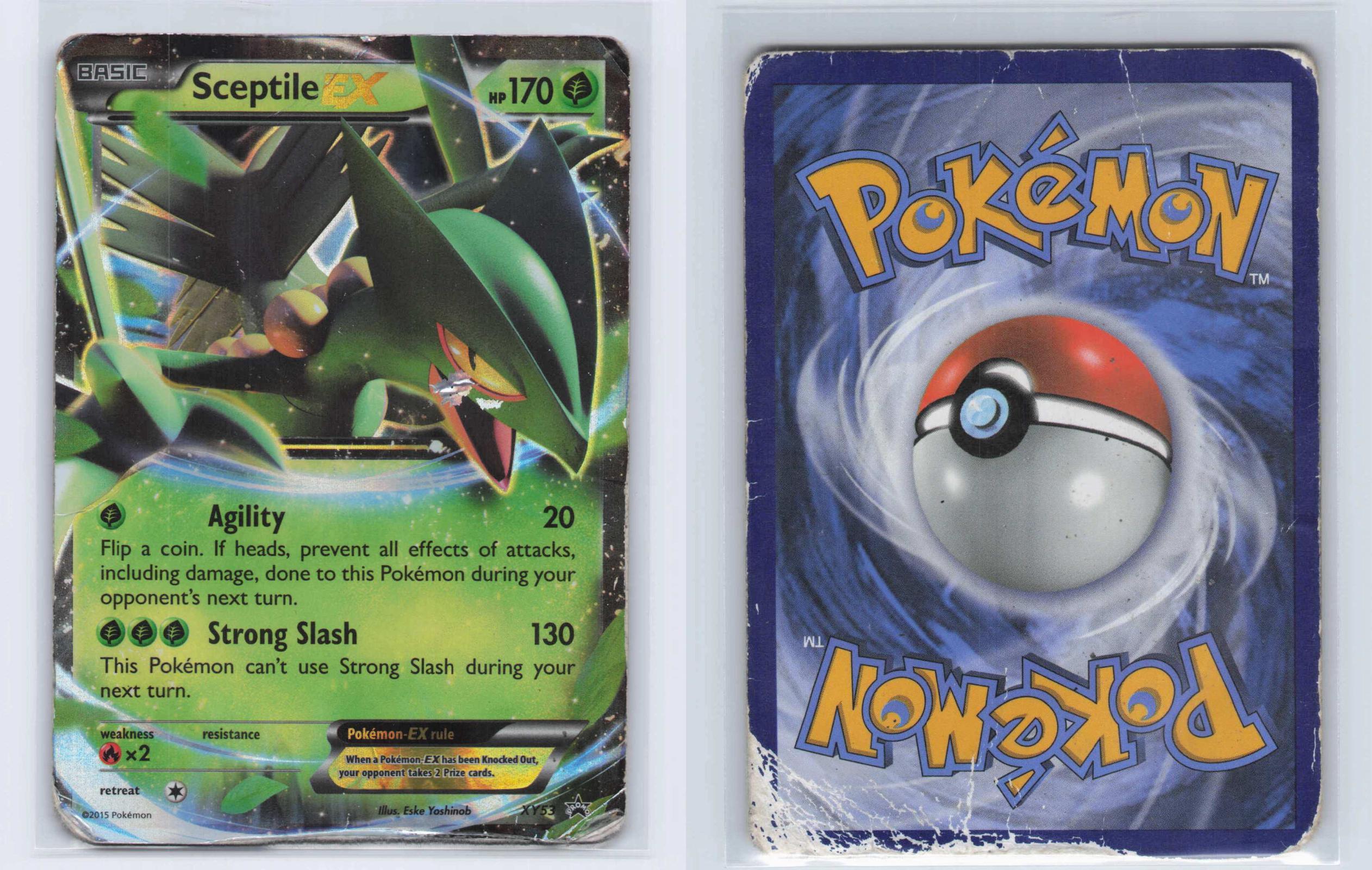 (#XY53) Sceptile EX - Holo [XY Promo]
