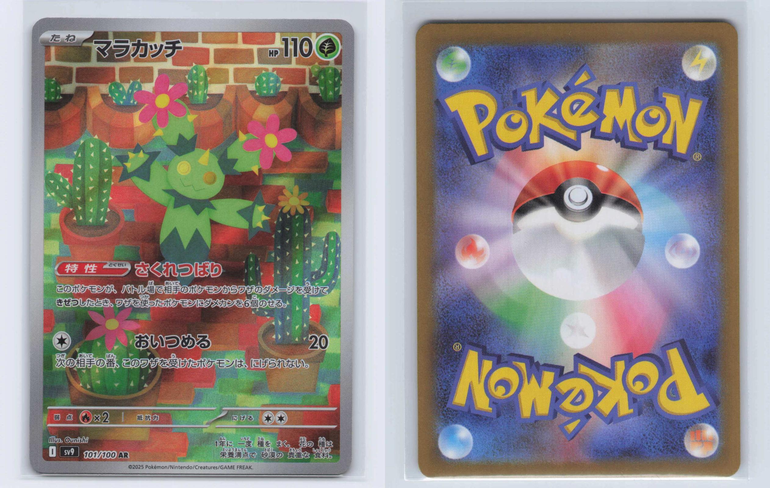 (#101/100) Maractus - Holo [Battle Partners (JPN)]