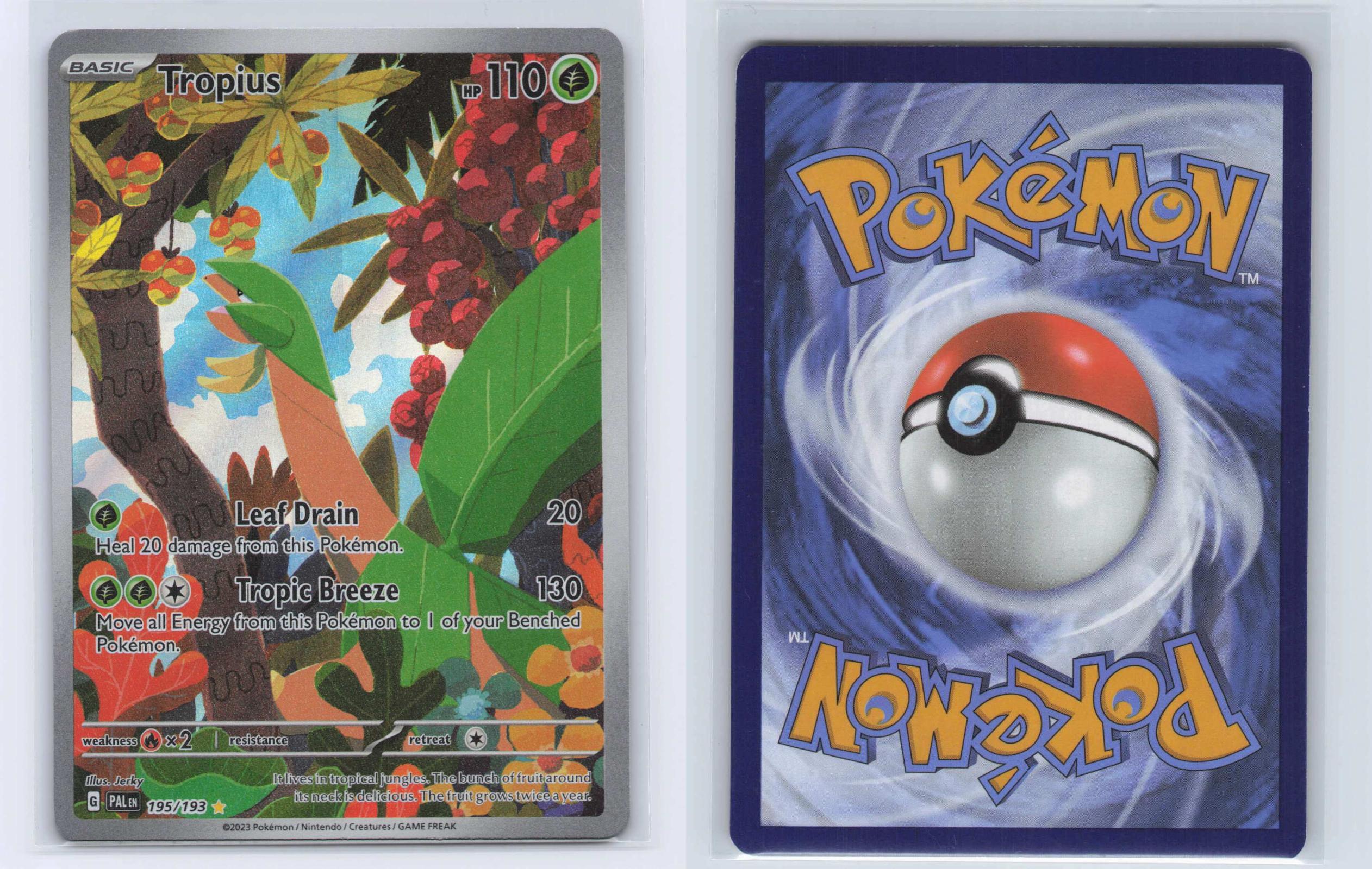 (#195/193) Tropius - Holo [Paldea Evolved]