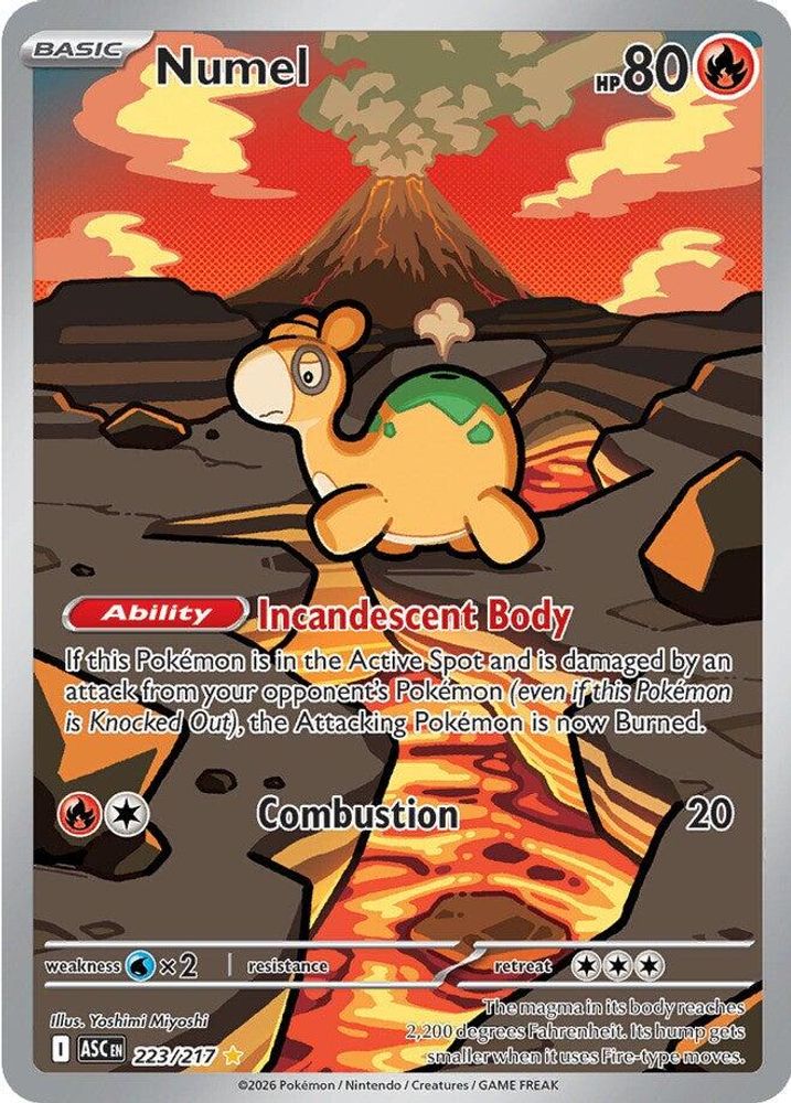 (#223/217) Numel - Holo [Ascended Heroes]