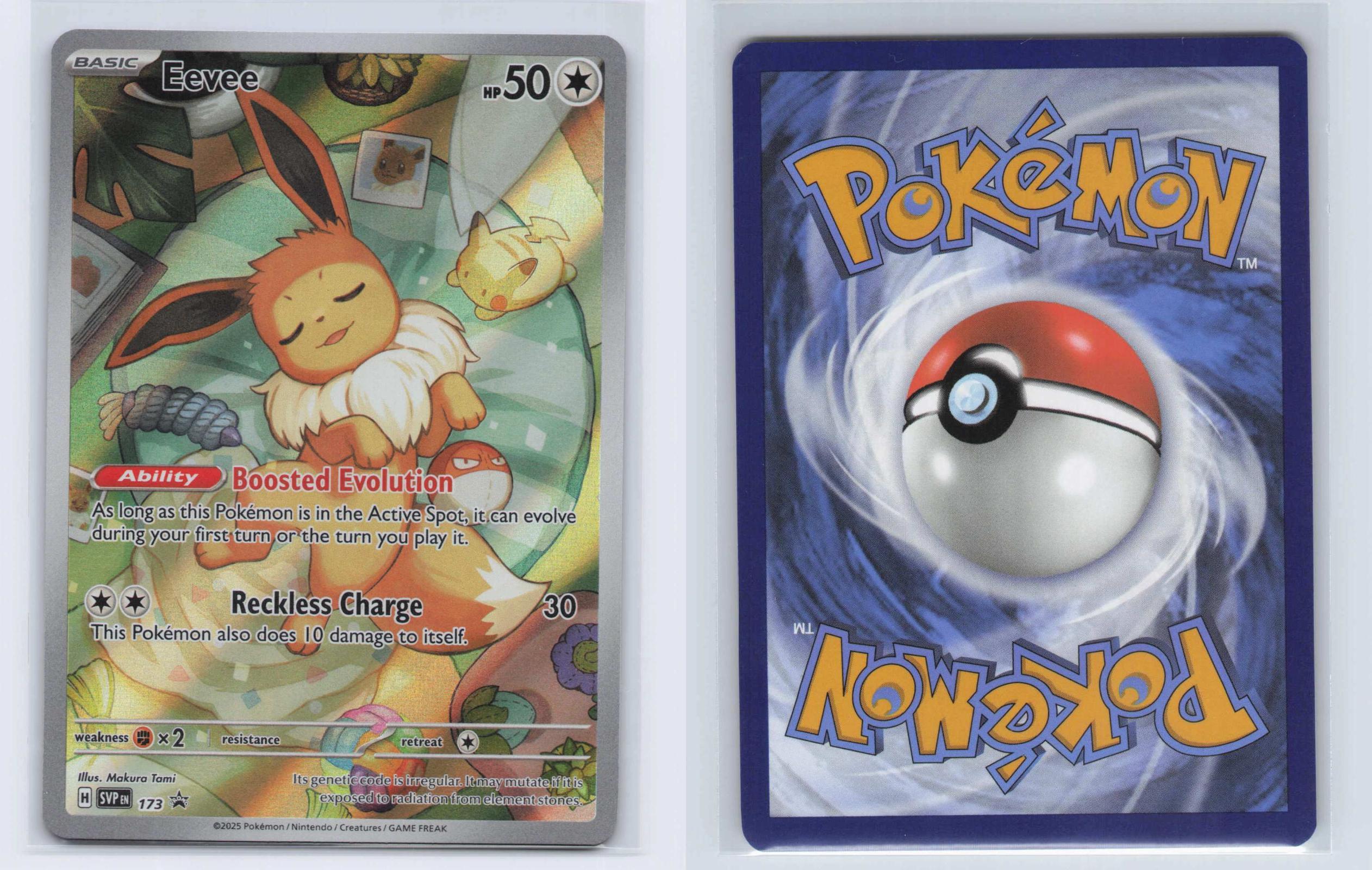 (#173) Eevee - Holo [Scarlet & Violet Promo]