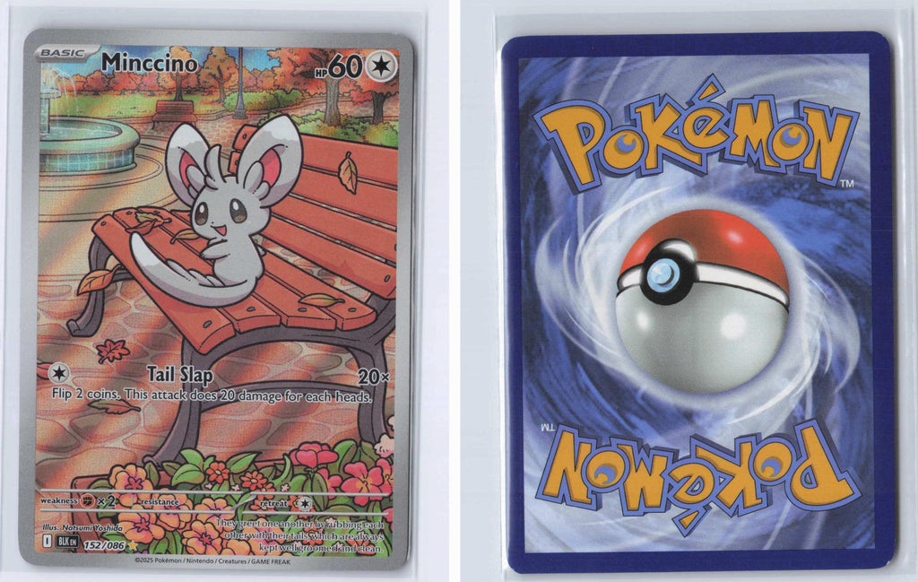 (#152/086) Minccino - Holo [Black Bolt]