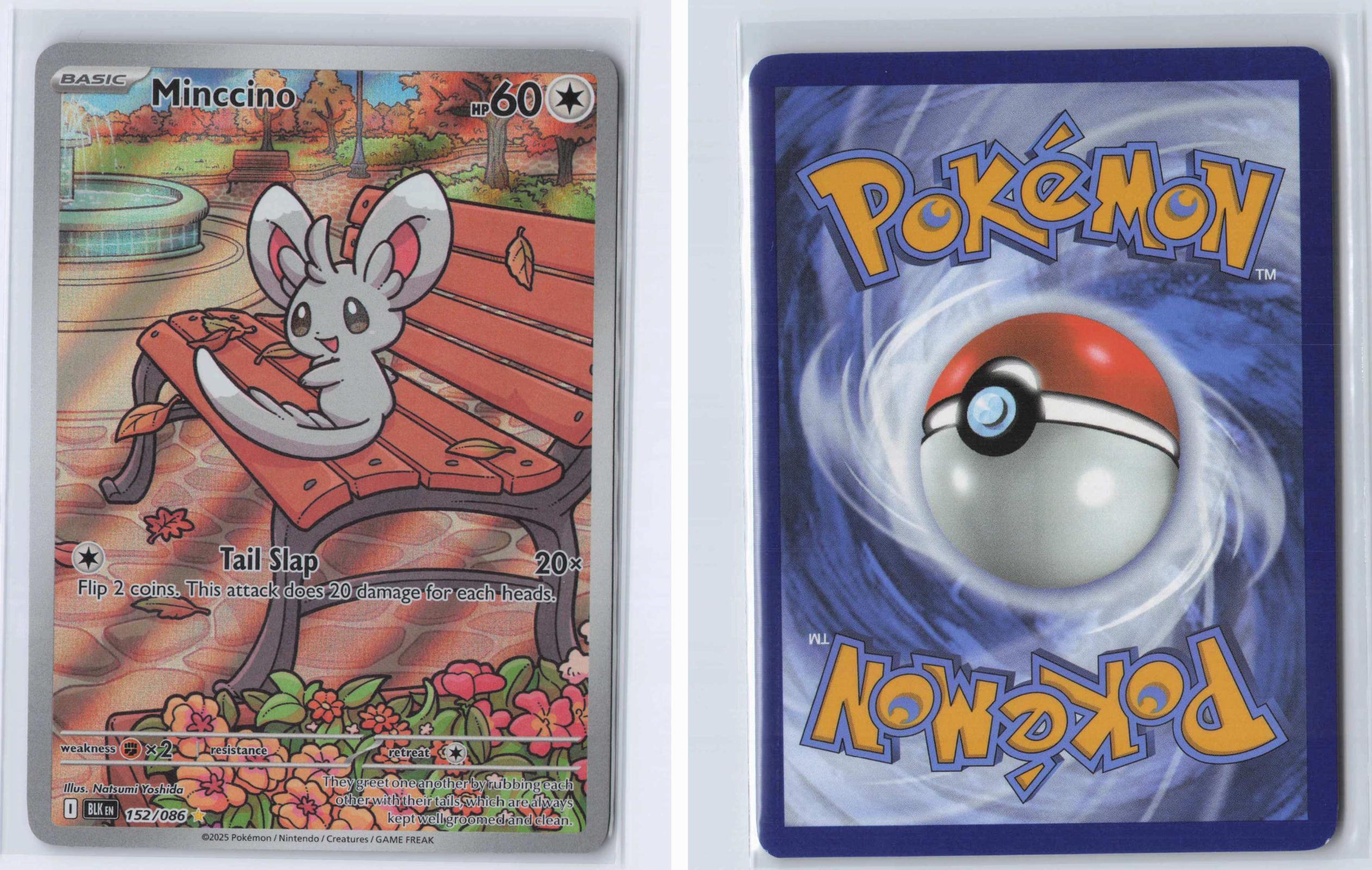 (#152/086) Minccino - Holo [Black Bolt]