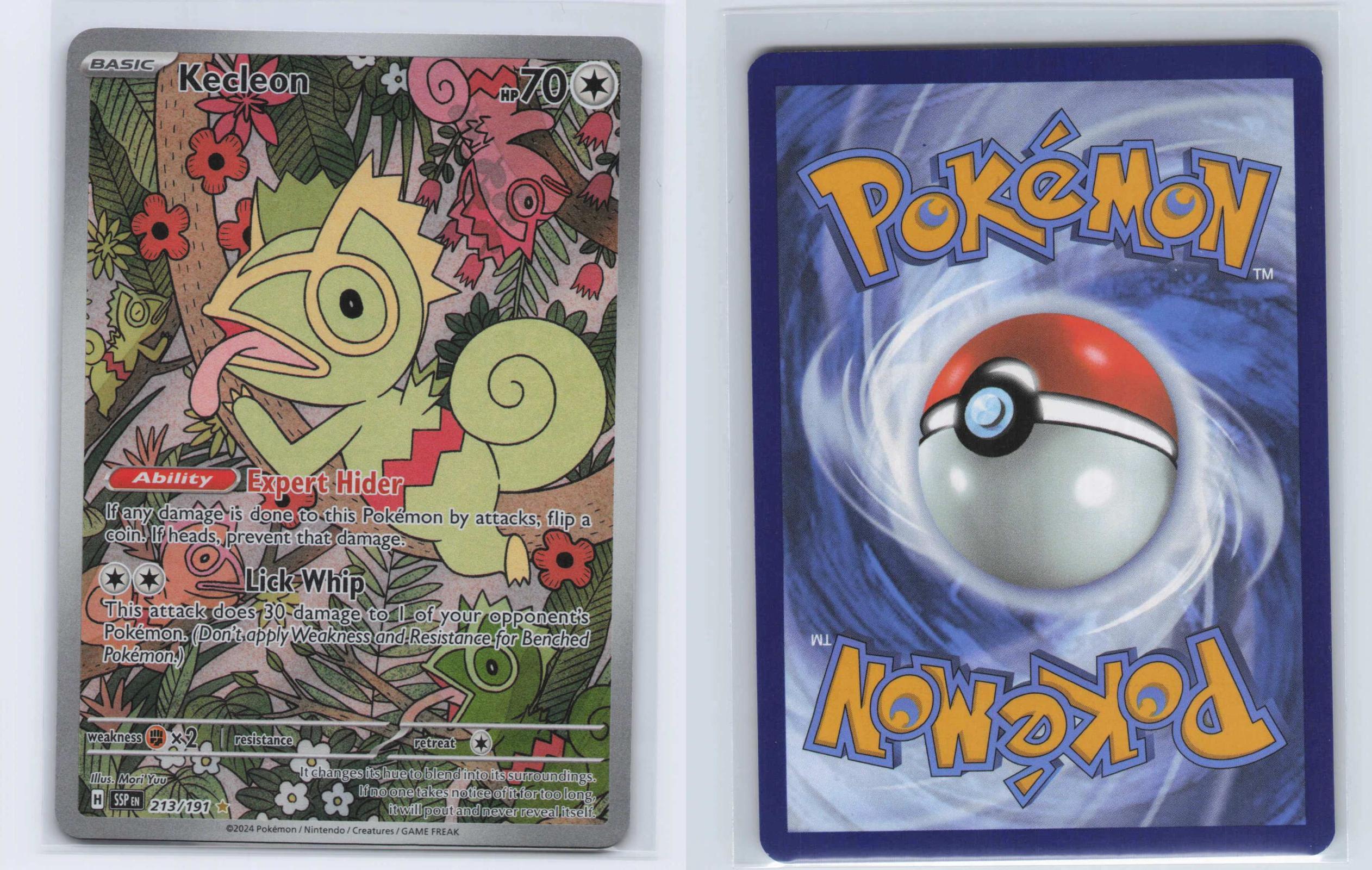 (#213/191) Kecleon - Holo [Surging Sparks]