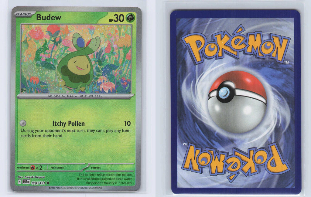 (#004/131) Budew (Master Ball Pattern) - Holo [Prismatic Evolutions]