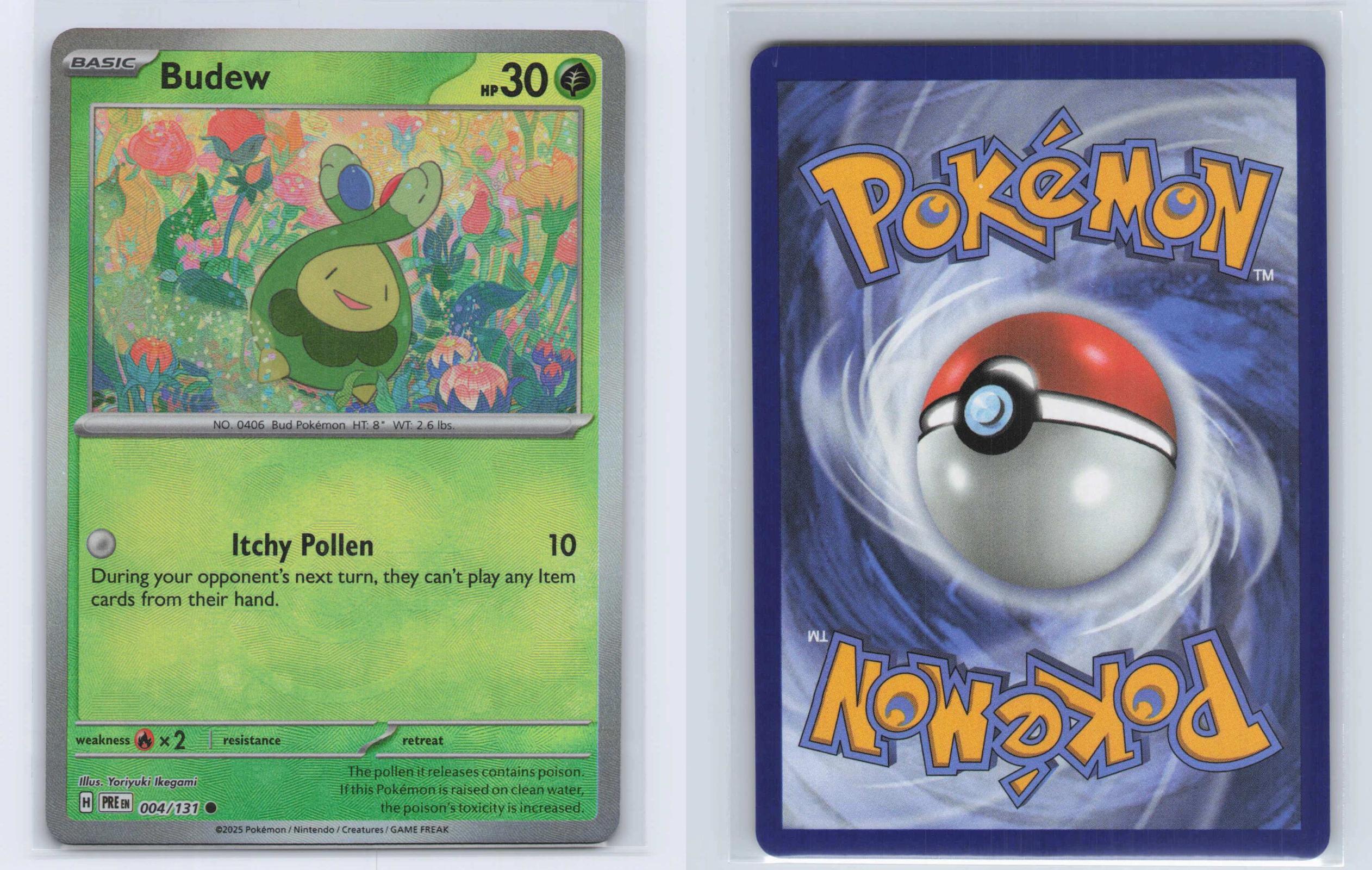 (#004/131) Budew (Master Ball Pattern) - Holo [Prismatic Evolutions]