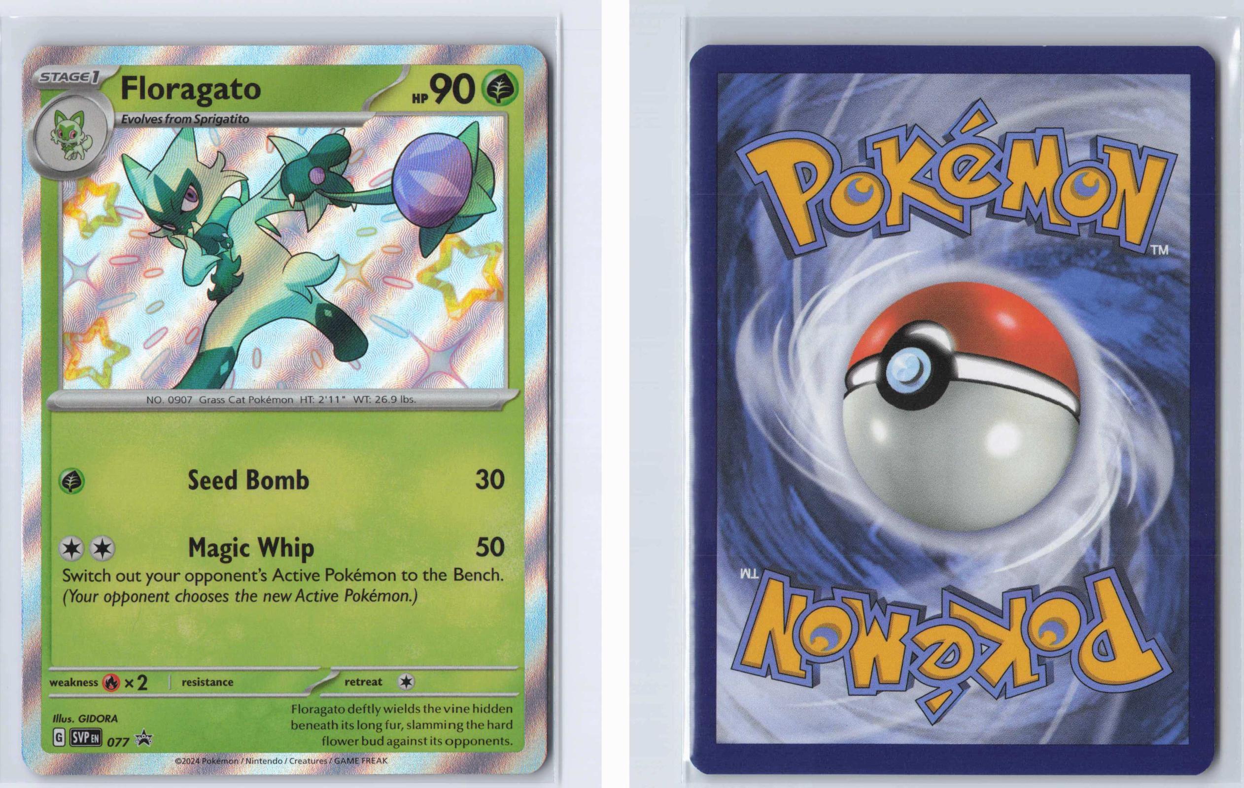 (#077) Floragato - Holo [Scarlet & Violet Promo]