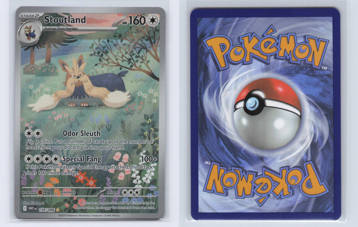 (#156/086) Stoutland - Holo [White Flare]