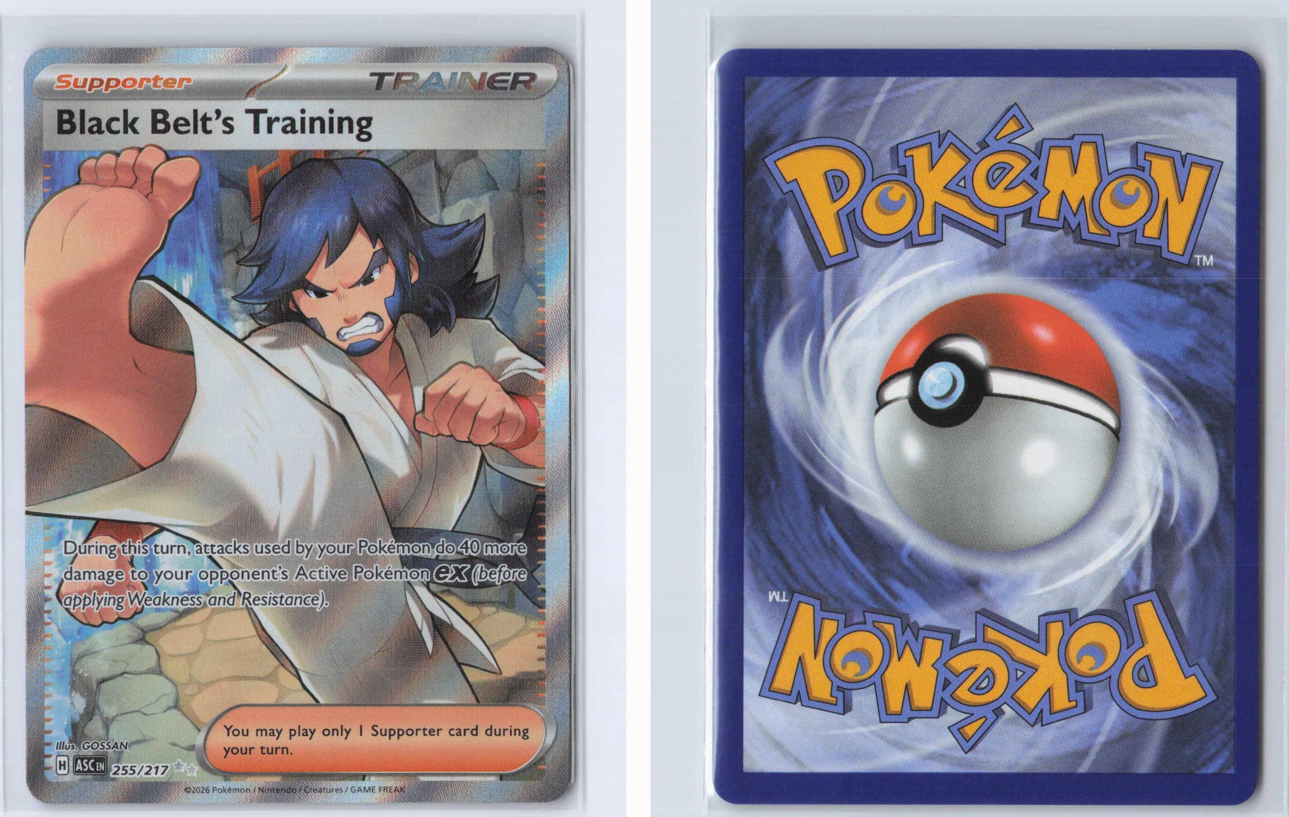 (#255/217) Black Belt's Training - Holo [Ascended Heroes]