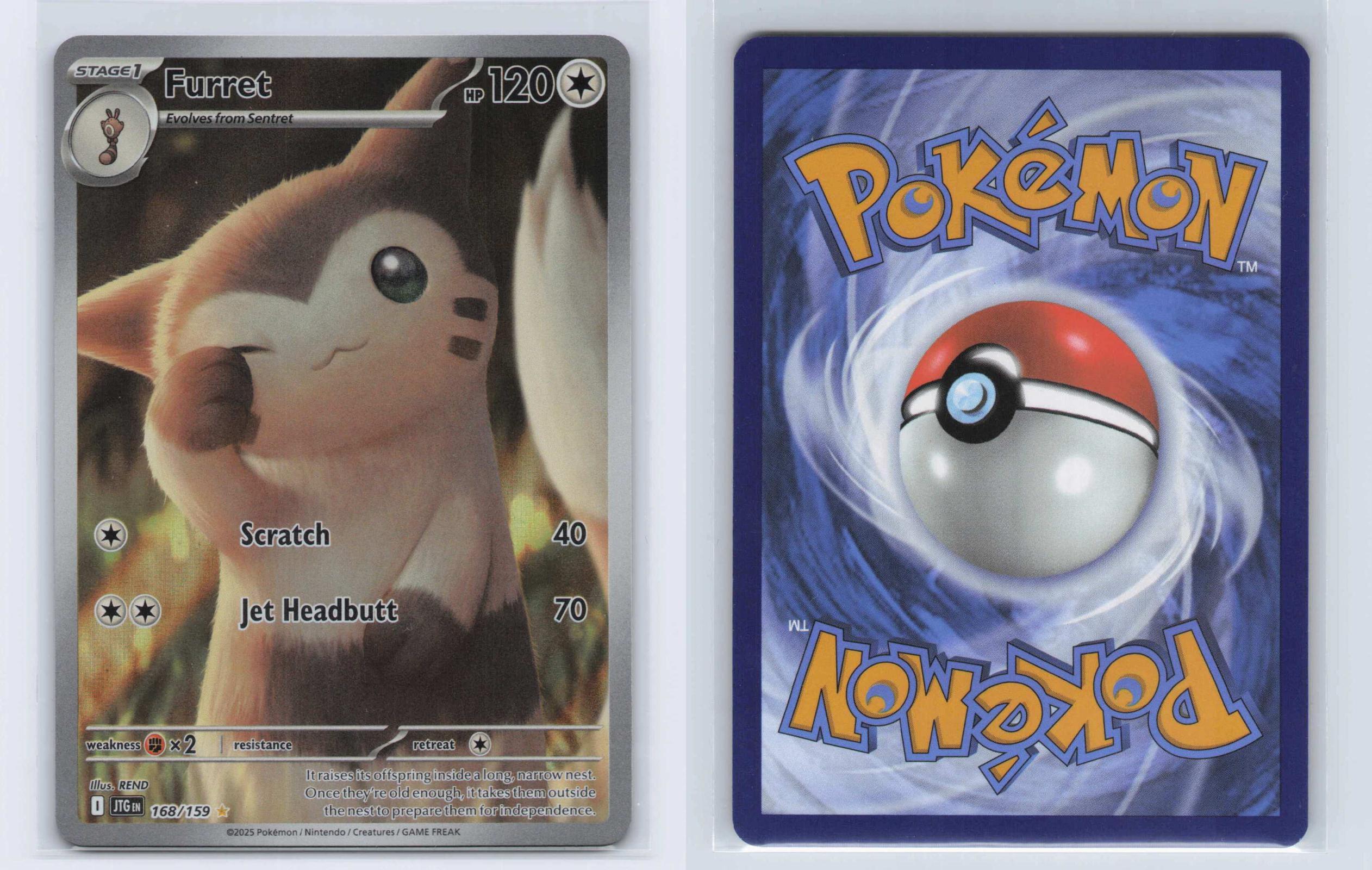(#168/159) Furret - Holo [Journey Together]