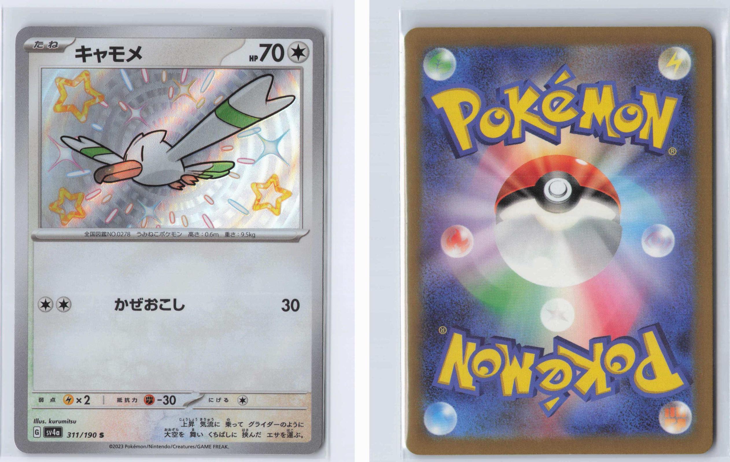 (#311/190) Wingull - Holo [Shiny Treasure ex (JPN)]