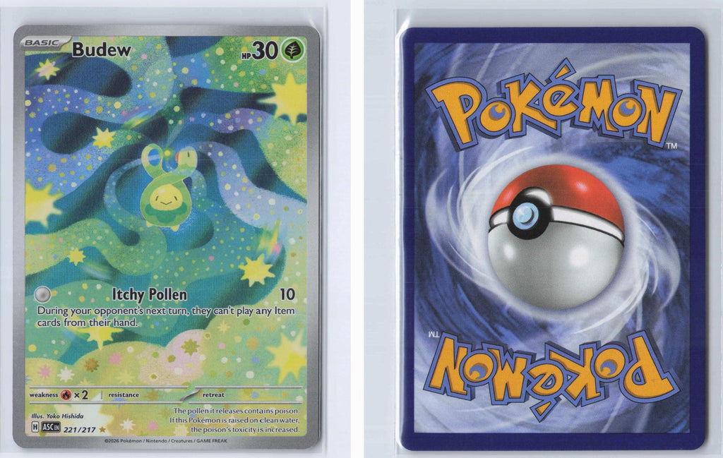 (#221/217) Budew - Holo [Ascended Heroes]