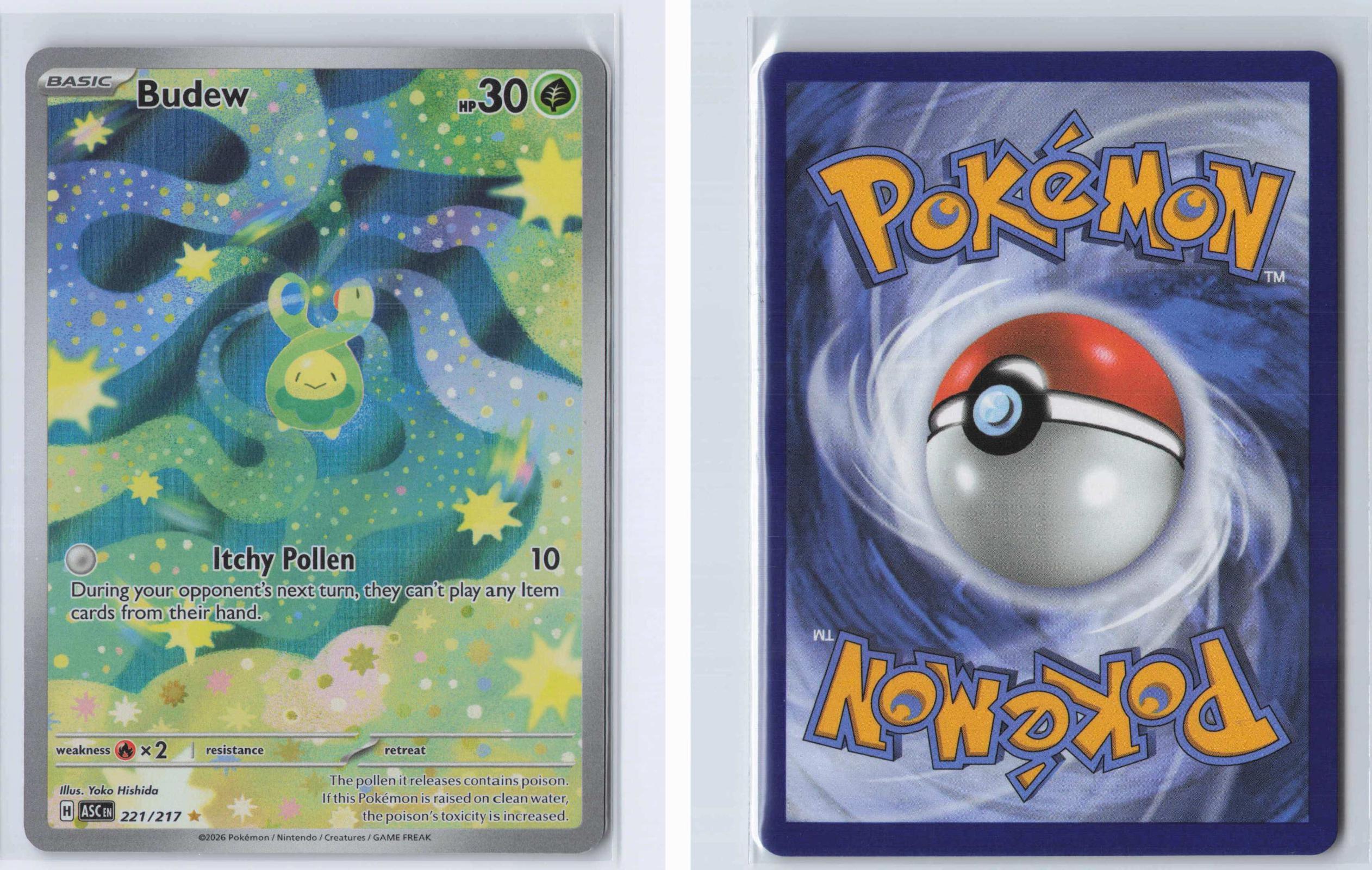 (#221/217) Budew - Holo [Ascended Heroes]