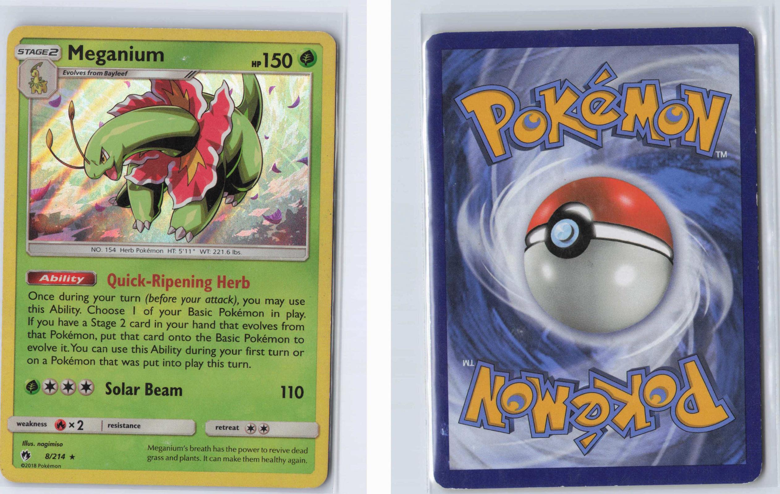 (#8/214) Meganium - Holo [Lost Thunder]