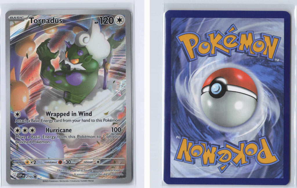 (#210) Tornadus - Holo [Scarlet & Violet Promo]